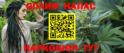 скорость Пугачёв