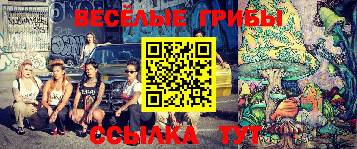 Галлюциногенные грибы Cubensis Орёл